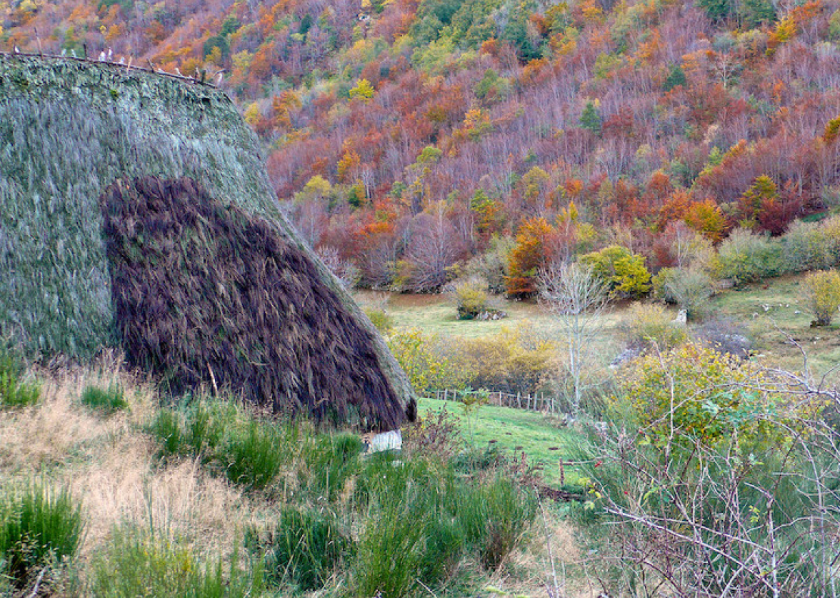 otoño en somiedo